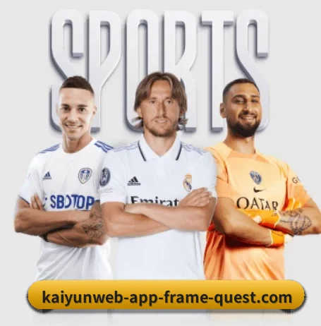 开云官网 APP 界面